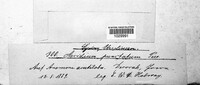 Tranzschelia discolor image